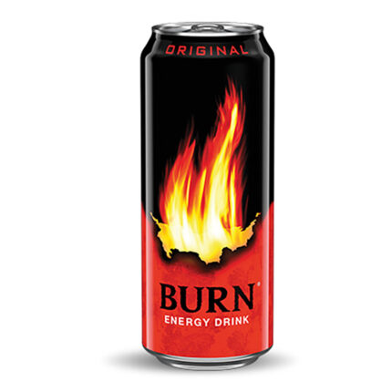 Burn Kutu Enerji İçeceği 250 ml.